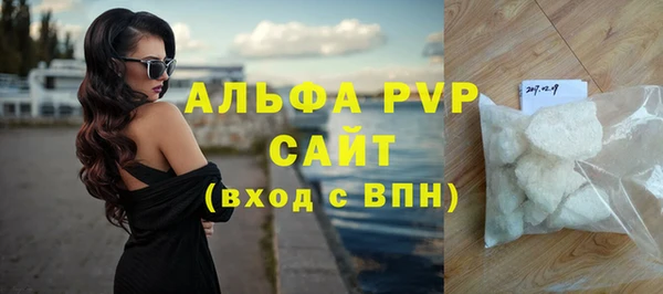 PSILOCYBIN Белокуриха