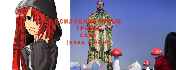 меф Богородицк
