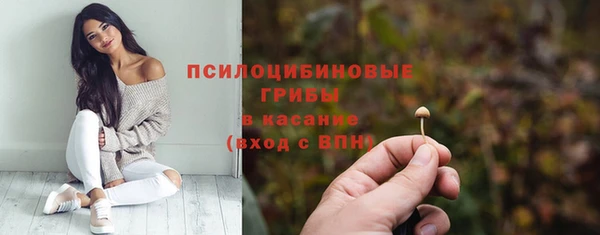 a pvp Богородск