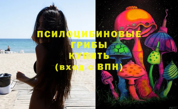 a pvp Богородск
